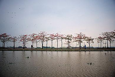 《麻布仔大冒险》发布PC版新预告 10月27日发售